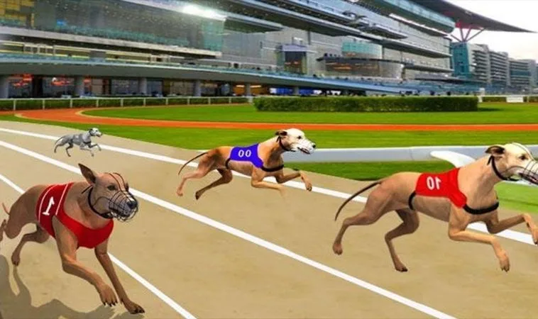 Bí Kíp Chơi Game Nhanh Đua Chó Tại 9Club Hốt Bạc Triệu 2 Cách chơi game nhanh Đua Chó Tại 9Club