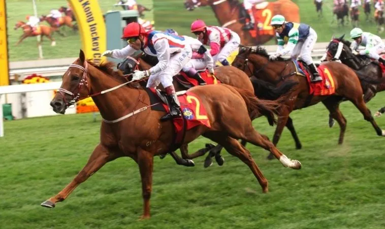 Cần tìm hiểu kỹ về bộ môn Đua Ngựa 9Club trước khi tham gia cá cược